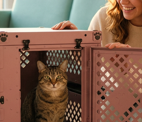 Travel safe with Pote